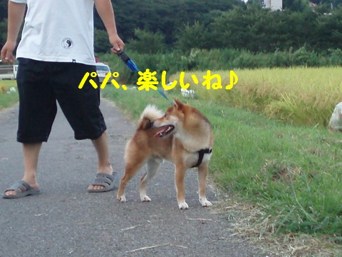 楽しいね