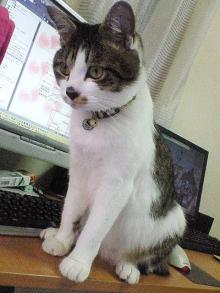 9ヶ月目ですねぇ