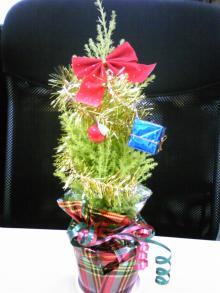 プロシスタで働く女子社員奮闘記-メリークリスマス!