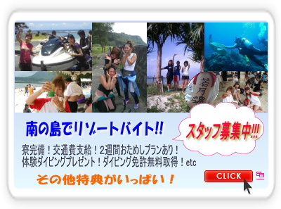 若月Divers☆徳之島!!-スタッフ募集！★Bar&Lounge若月