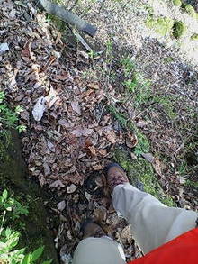 20070421082354.jpg
