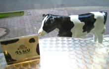 クレムリ　牛ちゃん