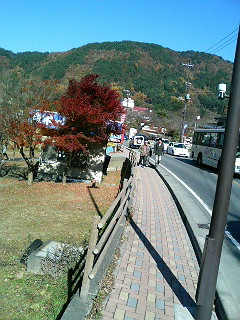 河口湖の紅葉