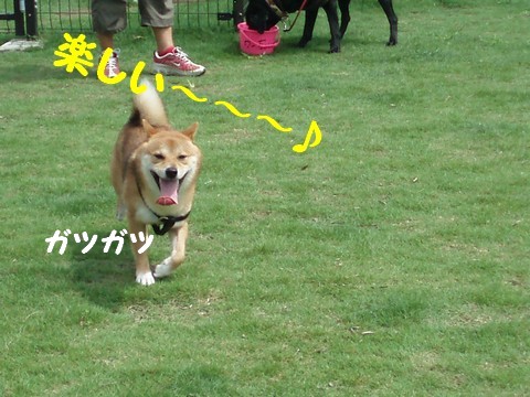 楽しい♪