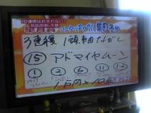 柴田の予想