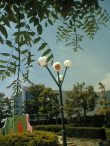 06-08-06_12-10.jpg