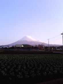 mtfuji
