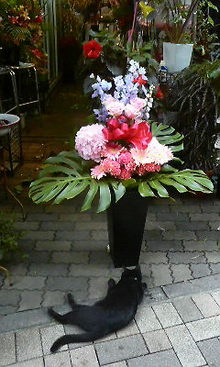 200809061010000.jpg