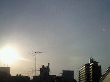 200804050616000.jpg