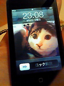 image.jpg