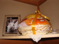 20081125