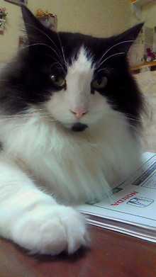 ８．９．１０…シビル&dodici&Treize-200902070800001.jpg