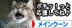 にほんブログ村 猫ブログ メインクーンへ