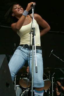 The Go!Team