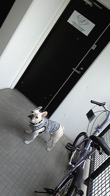 080928_130054.jpg
