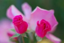 ～Ａ　ＣＯＬＯＲＦＵＬ　ＬＩＦＥ～