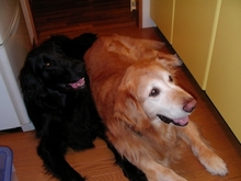 食いしん坊二人組