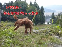 いやだ～