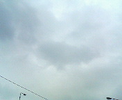 200805051328000.jpg