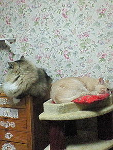 200806192228000.jpg