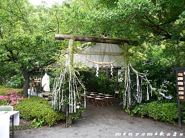 minya080608a