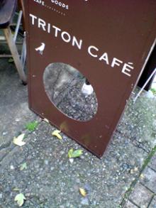 toriton1