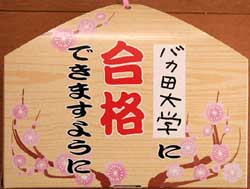 ＴＩＮＡるか♪♪