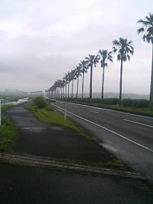 060527_1630~0001.jpg