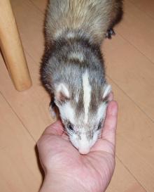 もぐもぐ