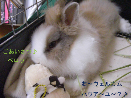 PUNKUNのきもち