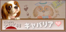 ぽちっと押してね～　ありがとう♪