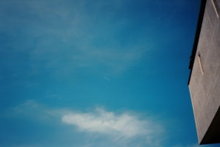 040501seagull005.jpg