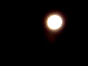 moon2