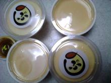 purin3