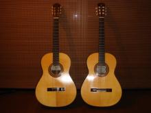 new guitar3