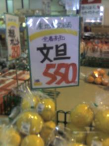 文旦
