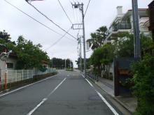 海岸方面を見る