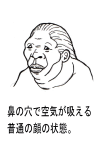 なぎさ原人の普段の顔