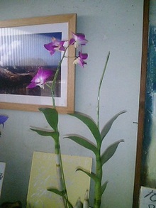 070707_1305~0001.jpg