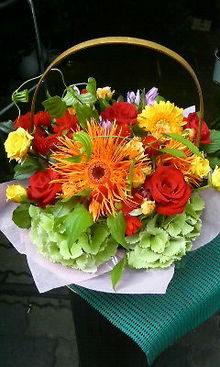 200809061324000.jpg