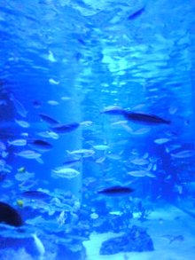 080925_1554~01.jpg