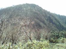 愛鷹山