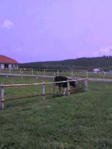 070428_1254~001.jpg