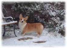 20051218_0