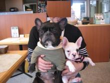 Journal intime