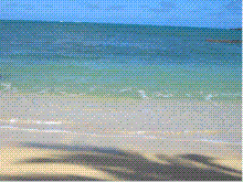 WeBeesHawaii Dakineブログ