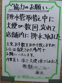 大便