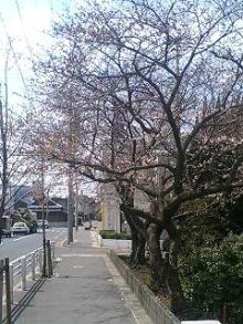 060330_1339~0001.jpg