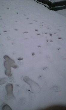 080203_1619~0001.jpg