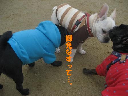 ぺちゃっとなっ♪